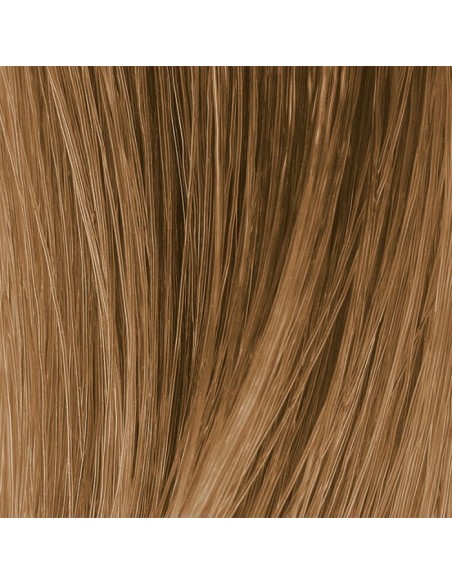 SOCOLOR ESILIIMAUS 8G 90ml