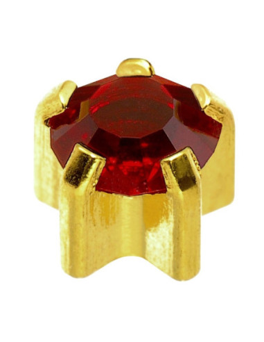 24ct Z tammikuu, korvakorut...