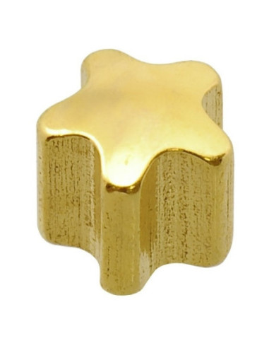 24 karaatin Z MINI Tähti -korvakorut,...