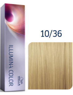 Illumina Color permanenta...