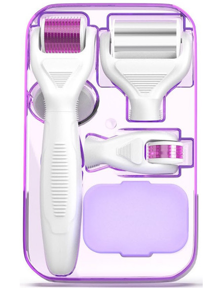 Derma roller -mikroneulauslaite, 6in1, ICE