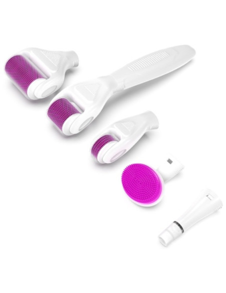 Derma roller -mikroneulauslaite, 6in1, ICE