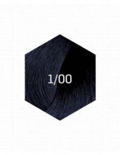 KOLLAASI KESTOVÄRI 1/00