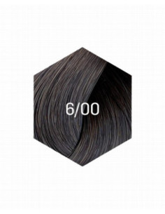 KOLLAASI KESTOVÄRI 6/00