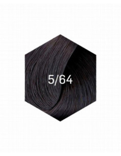 KOLLAASI KESTOVÄRI 5/64