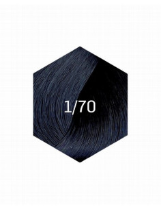 KOLLAASI KESTOVÄRI 1/70