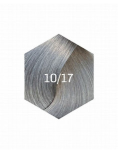 KOLLAASI KESTOVÄRI 10/17