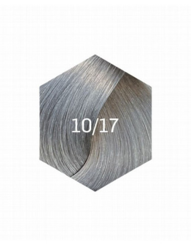 KOLLAASI KESTOVÄRI 10/17