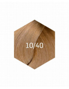 KOLLAASI KESTOVÄRI 10/40