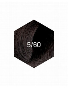 KOLLAASI KESTOVÄRI 5/60