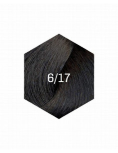 KOLLAASI KESTOVÄRI 6/17