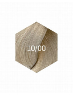 KOLLAASI KESTOVÄRI 10/00