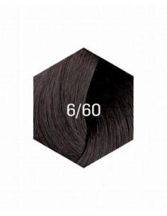 KOLLAASI KESTOVÄRI 6/60