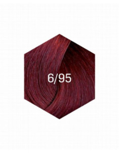 KOLLAASI KESTOVÄRI 6/95