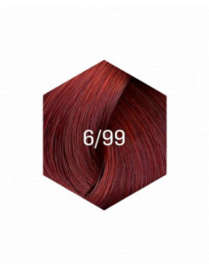 KOLLAASI KESTOVÄRI 6/99