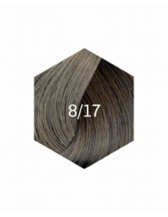 KOLLAASI KESTOVÄRI 8/17