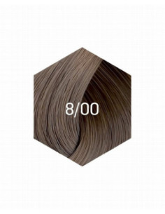 KOLLAASI KESTOVÄRI 8/00