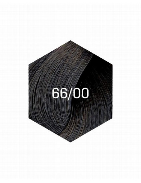 KOLLAASI KESTOVÄRI 66/00