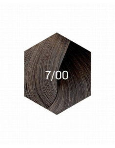 KOLLAASI KESTOVÄRI 7/00