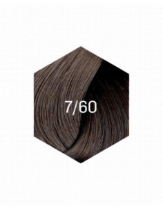 KOLLAASI KESTOVÄRI 7/60