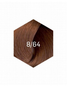 KOLLAASI KESTOVÄRI 8/64