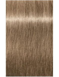 IGORA ROYAL Absolutes 8-01...