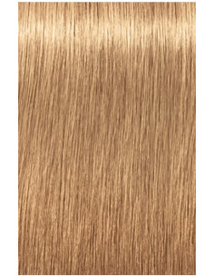 IGORA ROYAL Absolutes 9-560...