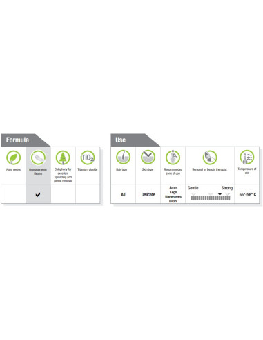 HOLIDAY GEELI Karvanpoistovahageeli...