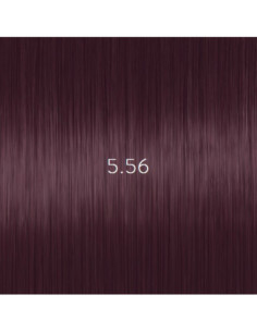 AURORA 5.56 kestoväri 60ml