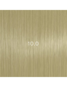 AURORA 10.0 kestoväri 60ml
