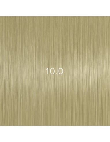 AURORA 10.0 kestoväri 60ml