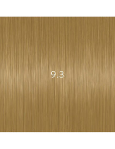 AURORA 9.3 kestoväri 60ml