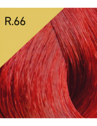 COLOR LUX Hiusväri R.66 100ml