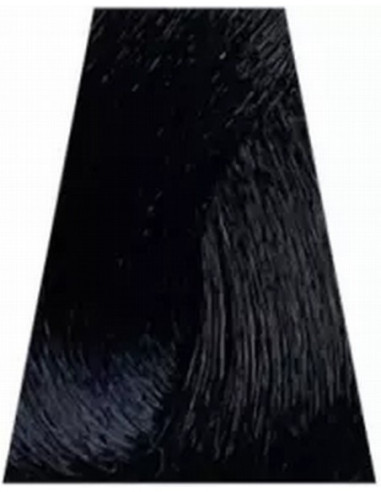 TREND TOUJOURS Hiusväri 100ml 1.10