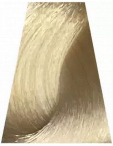 TREND TOUJOURS Hiusväri 100ml 9.13