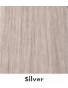 PUOLIVÄRI Hopea 60ml