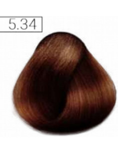 Absoluk kestoväri 5.34 100ml