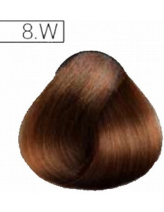 Absoluk Kestoväri 8.W 100ml