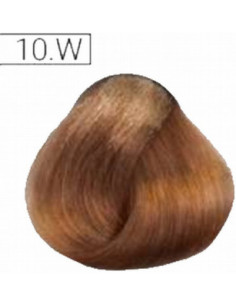 Absoluk Kestoväri 10W 100ml