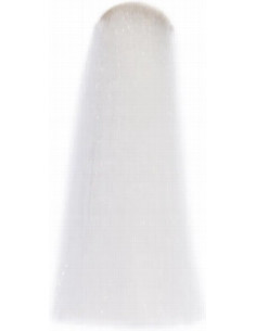 Inebrya BIONIC COLOR...