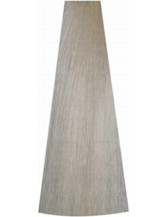 BLONDESSE Kasvovesi...