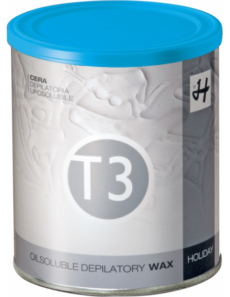 HOLIDAY T3 Karvanpoistovaha (sininen) 800ml