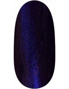 Magnetic Gel Polish UV/LED...