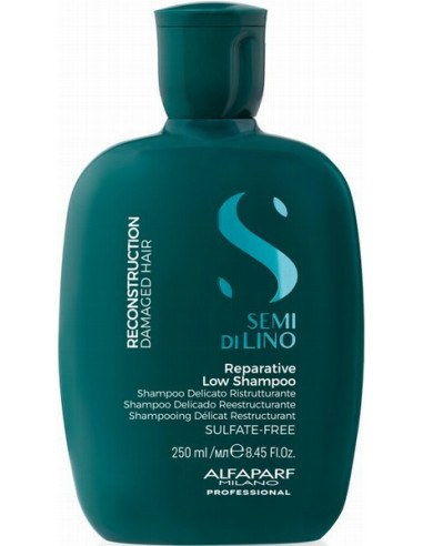 Semi di Lino Reconstruction -shampoo...