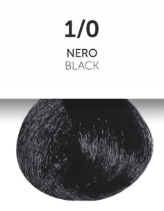 OYSTER PERLACOLOR ilman...