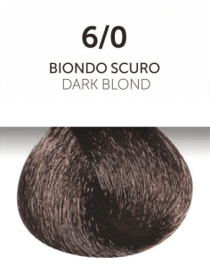 OYSTER PERLACOLOR ilman...