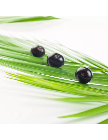 Keratin HEALING OIL...