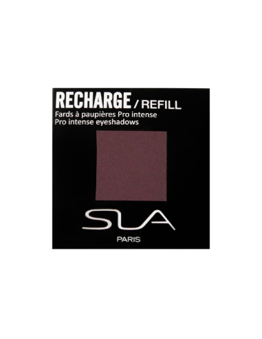 SLA PARIS Pro intensiiviset...