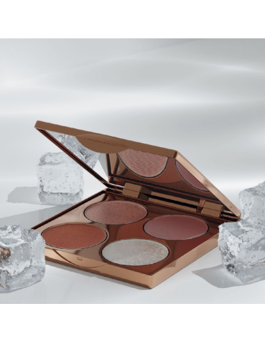 SLA PARIS GLOW UP COMPLEXION -paletti