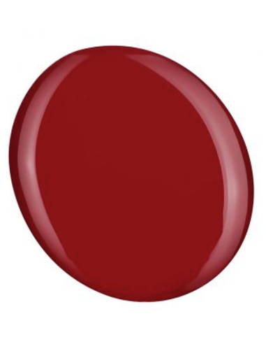SHIELD Geelilakka Absolute Catch 441...